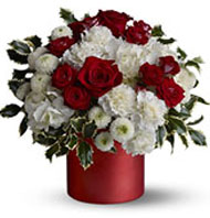 Christmas Flowers