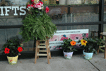 flowershop