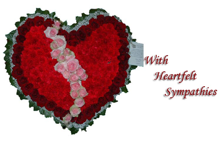sympathy_intro_2
