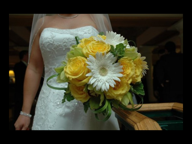 yellowbride